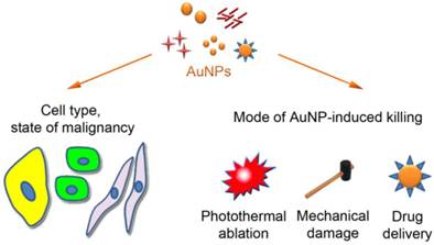 Theranostics Image