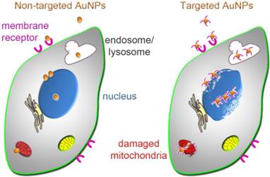 Theranostics Image