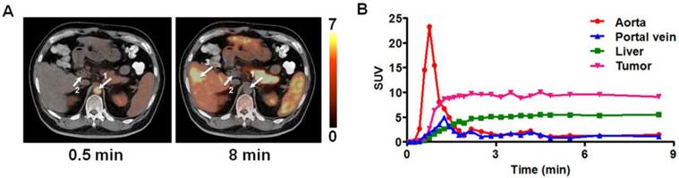 Theranostics Image