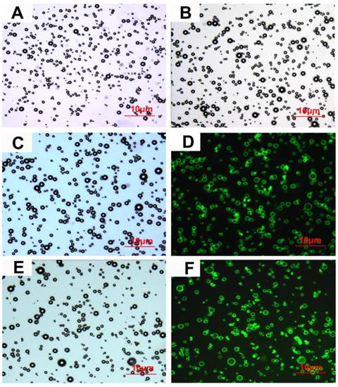 Theranostics Image