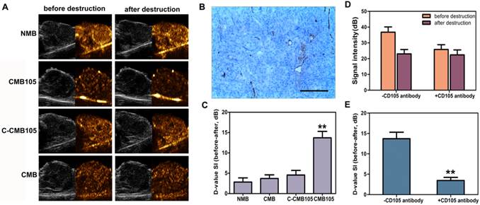 Theranostics Image