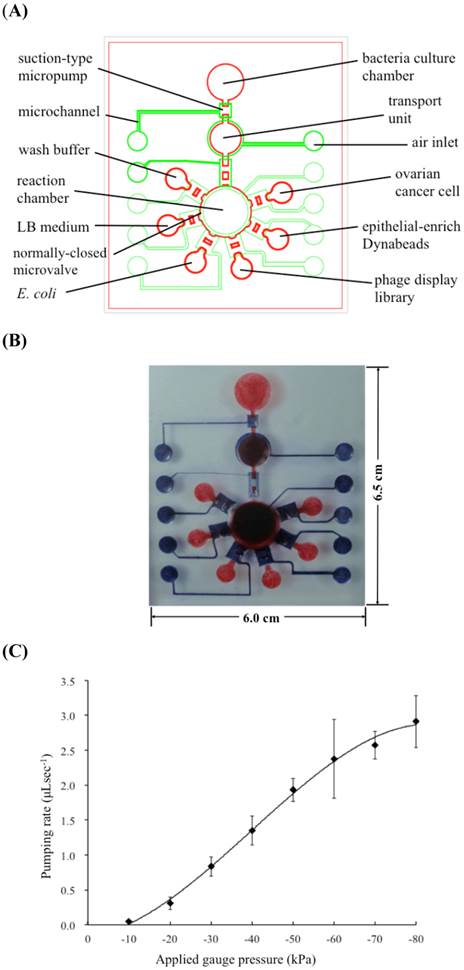 Theranostics Image