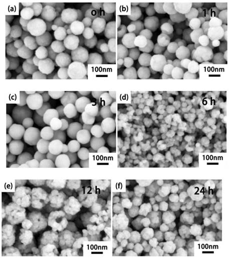 Theranostics Image