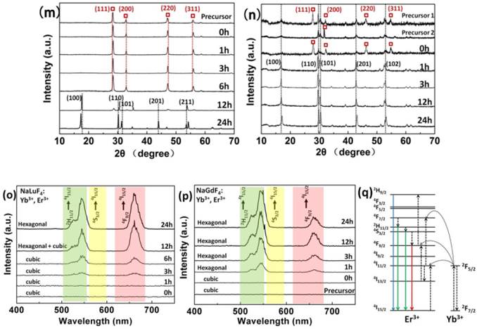 Theranostics Image