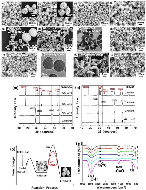 Theranostics Image