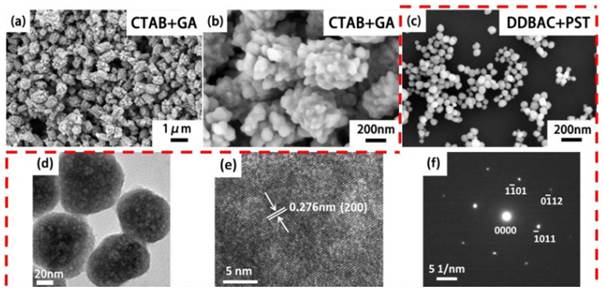 Theranostics Image