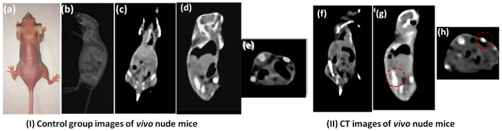 Theranostics Image