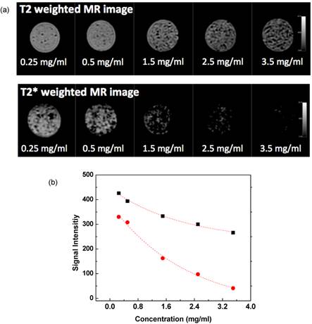 Theranostics Image