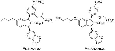 Theranostics Image