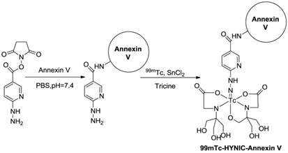 Theranostics Image