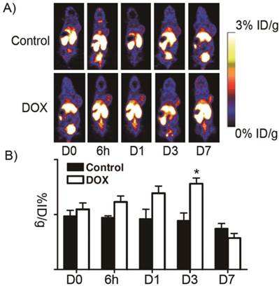 Theranostics Image