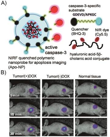 Theranostics Image