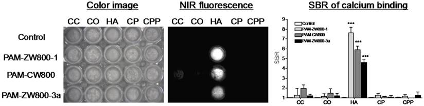 Theranostics Image