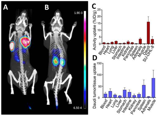 Theranostics Image