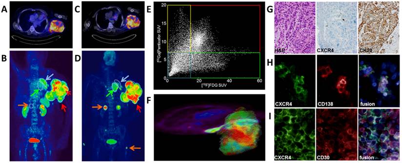 Theranostics Image