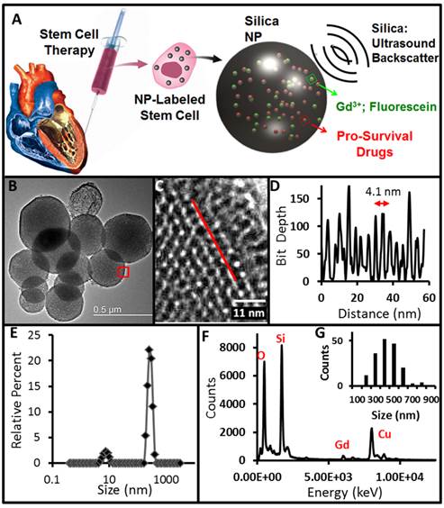 Theranostics Image