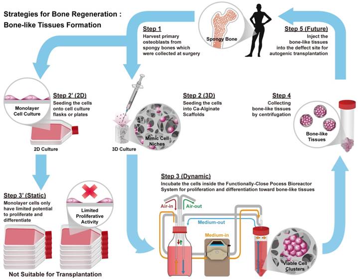 Theranostics Image