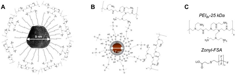 Theranostics Image