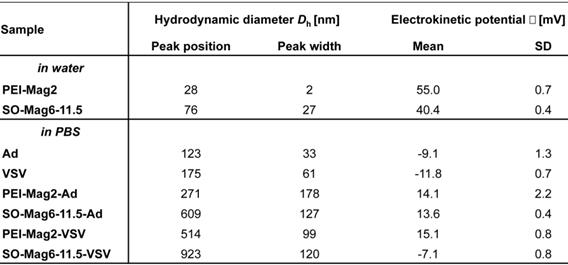 Theranostics Image