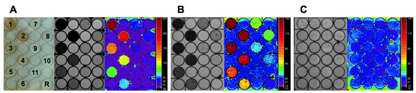 Theranostics Image