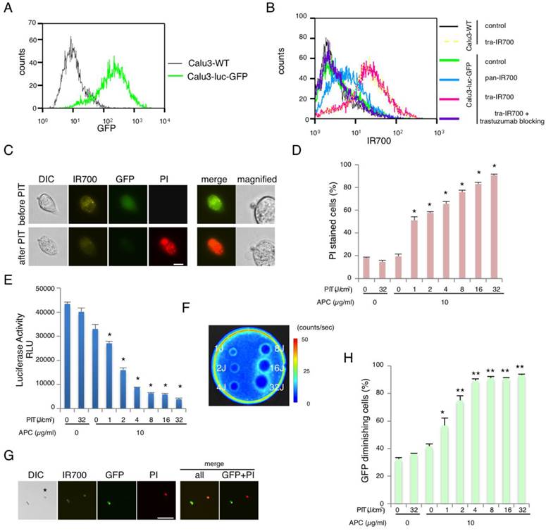 Theranostics Image