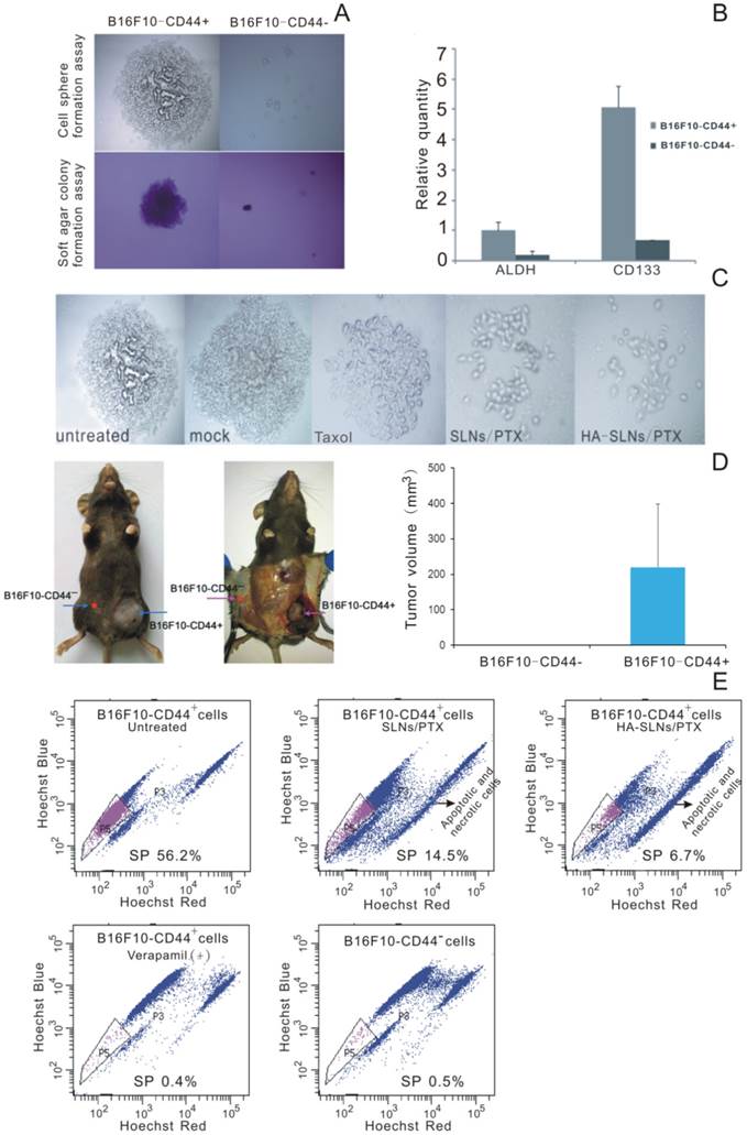 Theranostics Image