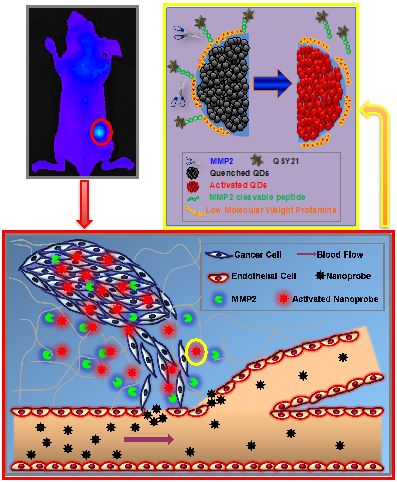 Theranostics Image