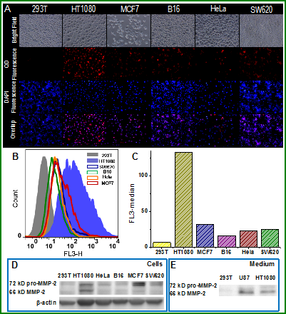 Theranostics Image