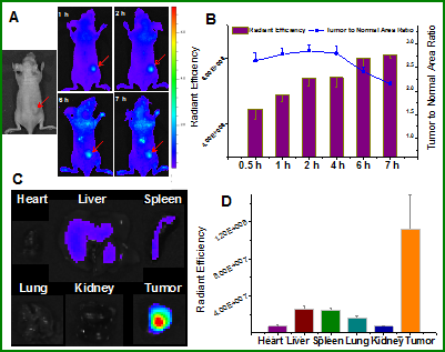 Theranostics Image