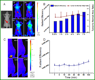 Theranostics Image