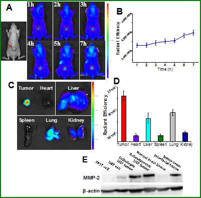 Theranostics Image