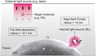 Theranostics Image