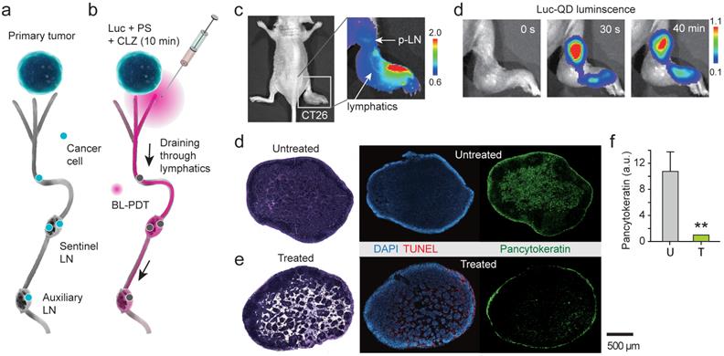 Theranostics Image