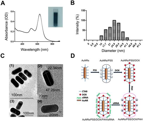 Theranostics Image