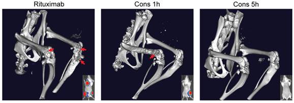 Theranostics Image