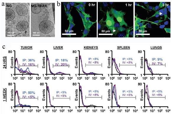 Theranostics Image