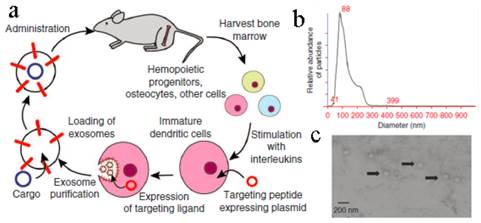 Theranostics Image