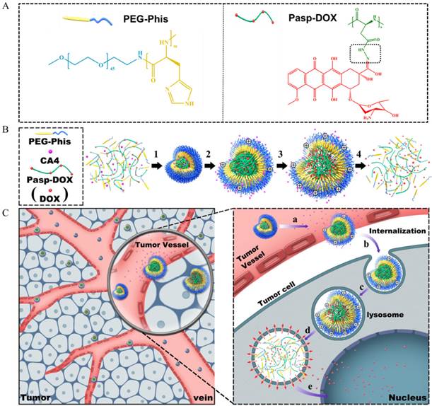 Theranostics Image