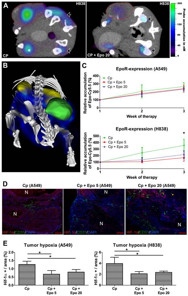 Theranostics Image