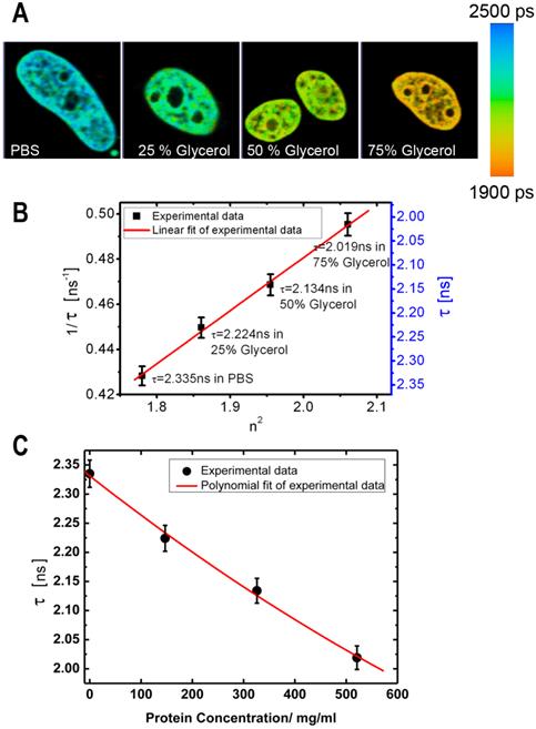 Theranostics Image