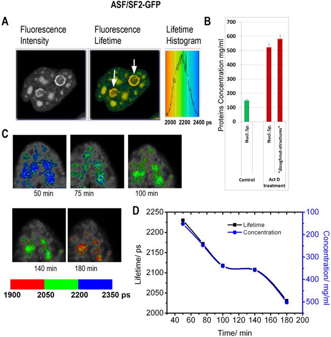 Theranostics Image