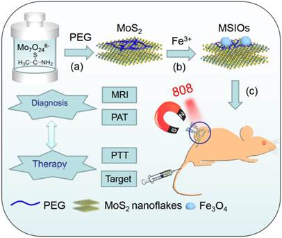 Theranostics Image