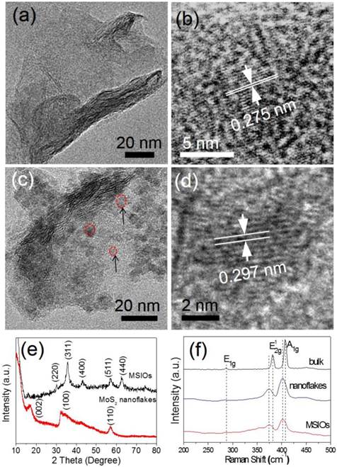 Theranostics Image