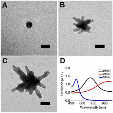 Theranostics Image