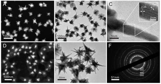 Theranostics Image