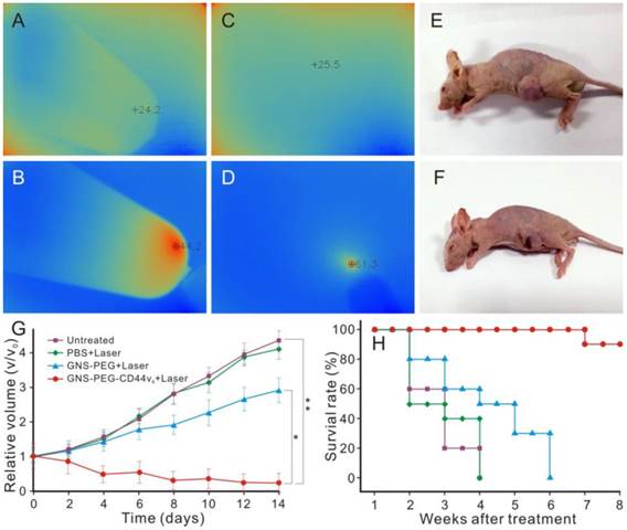 Theranostics Image