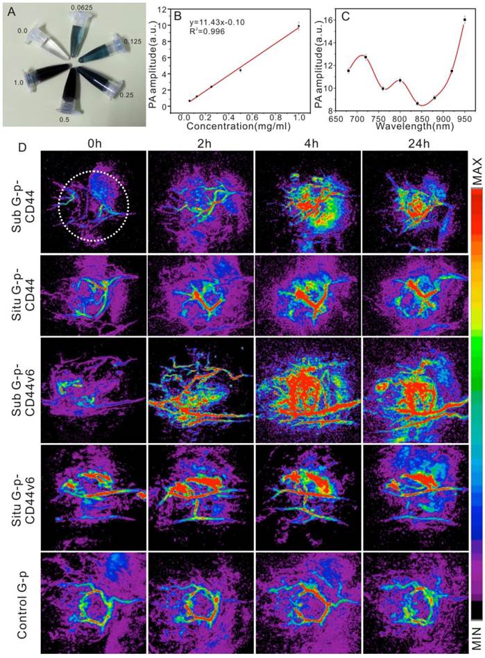 Theranostics Image