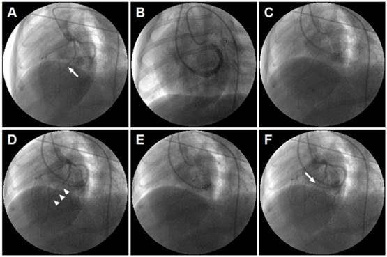 Theranostics Image