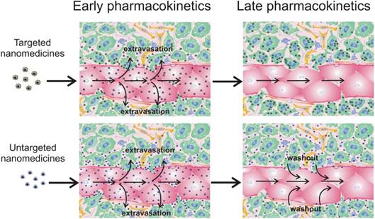 Theranostics Image