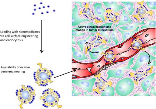 Theranostics Image